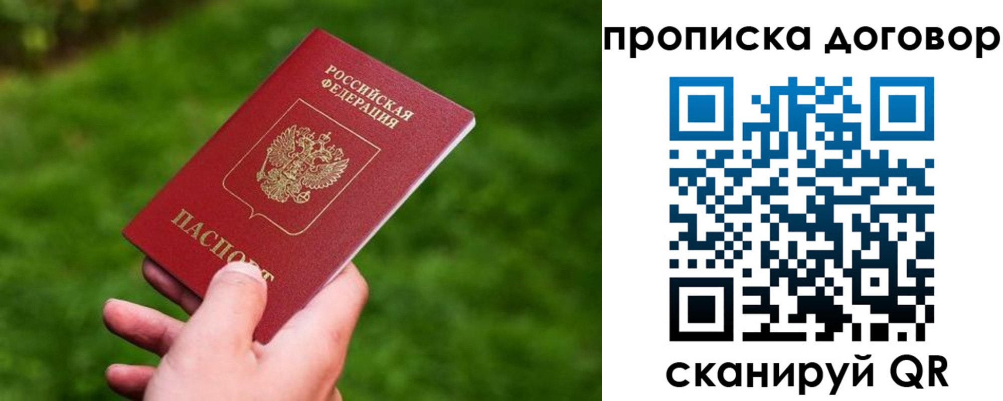 прописка гарантия в Зеленодольске